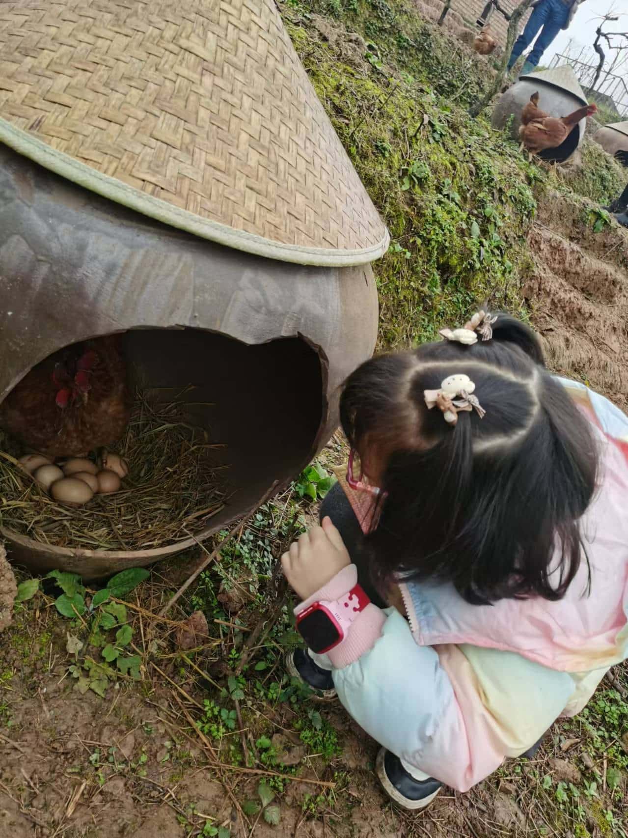 捡鸡蛋